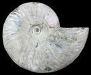 Silver Iridescent Ammonite - Madagascar #54870-1